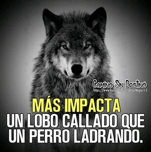 Meet your Posher, Fatima